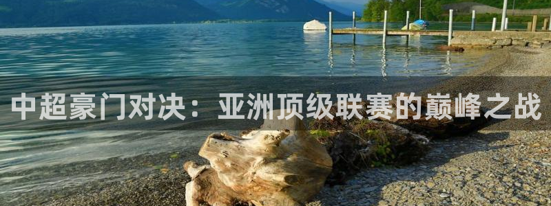 中超豪门对决：亚洲顶级联赛的巅峰之战