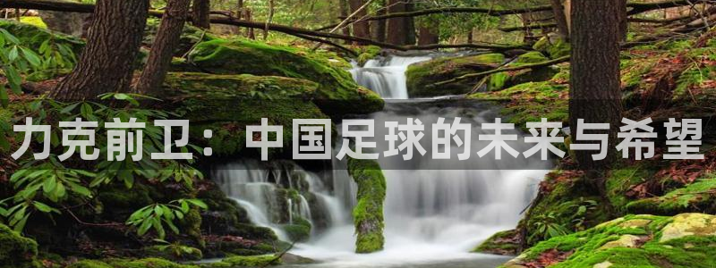  力克前卫：中国足球的未来与希望