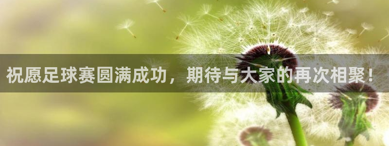 祝愿足球赛圆满成功，期待与大家的再次相聚！
