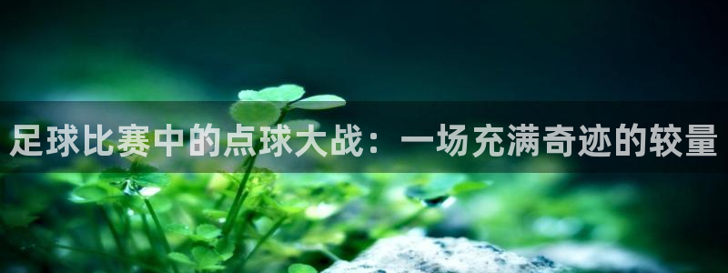 足球比赛中的点球大战：一场充满奇迹的较量