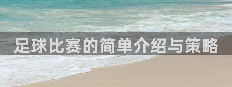 足球比赛的简单介绍与策略