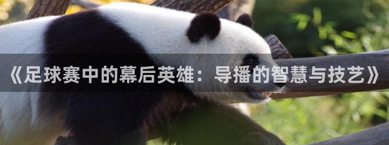  《足球赛中的幕后英雄：导播的智慧与技艺》