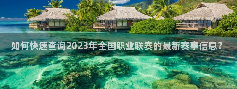  如何快速查询2023年全国职业联赛的最新赛事信息？