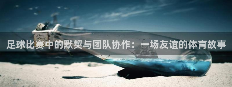 足球比赛中的默契与团队协作：一场友谊的体育故事