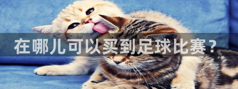 在哪儿可以买到足球比赛？