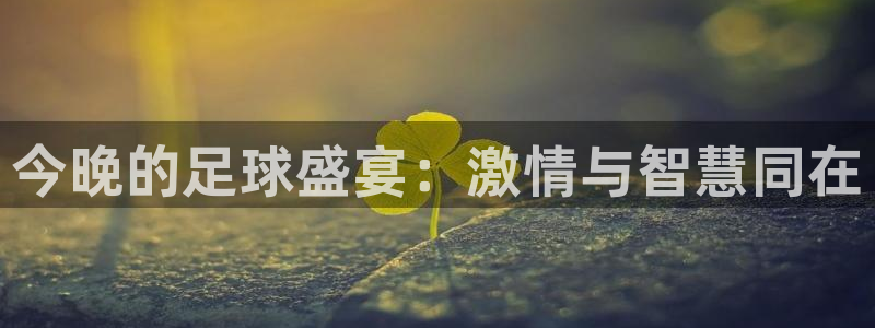  今晚的足球盛宴：激情与智慧同在