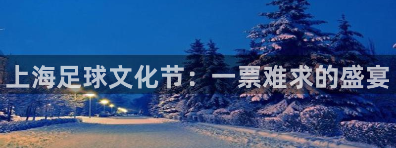  上海足球文化节：一票难求的盛宴