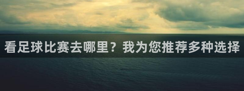 看足球比赛去哪里？我为您推荐多种选择
