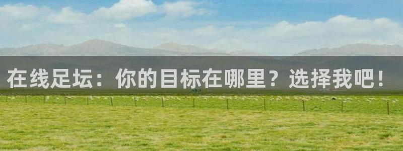  在线足坛：你的目标在哪里？选择我吧！
