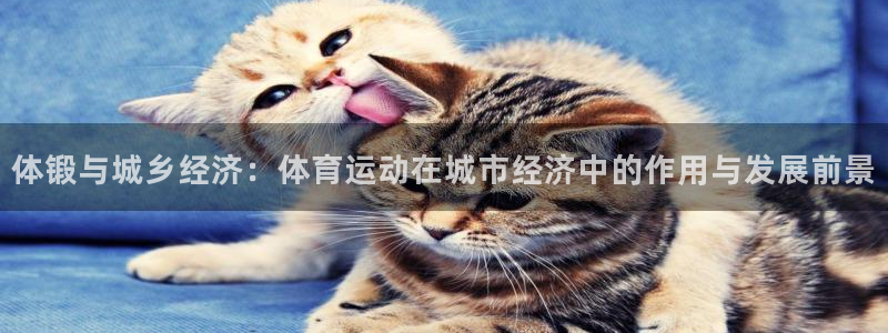 米兰体育怎么样