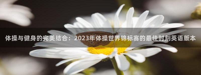 米兰体育最新版下载