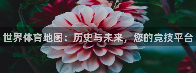 米兰体育网页版
