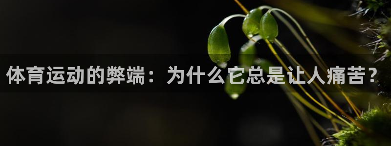 米兰体育报官网