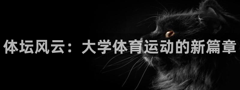 米兰体育下载官网最新版