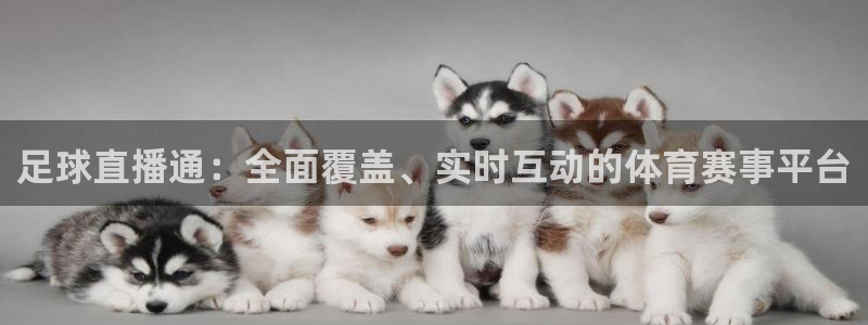 足球直播通：全面覆盖、实时互动的体育