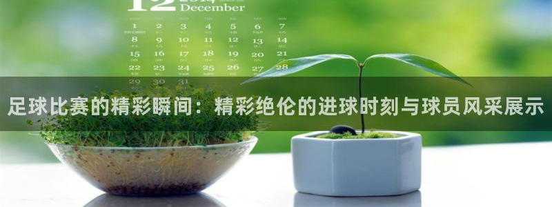 足球比赛的精彩瞬间：精彩绝伦的进球时