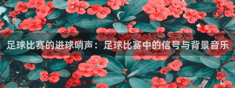 足球比赛的进球哨声：足球比赛中的信号