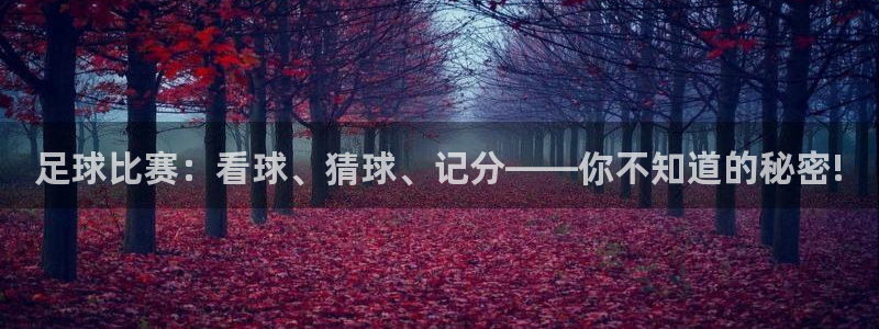足球比赛：看球、猜球、记分——你不知