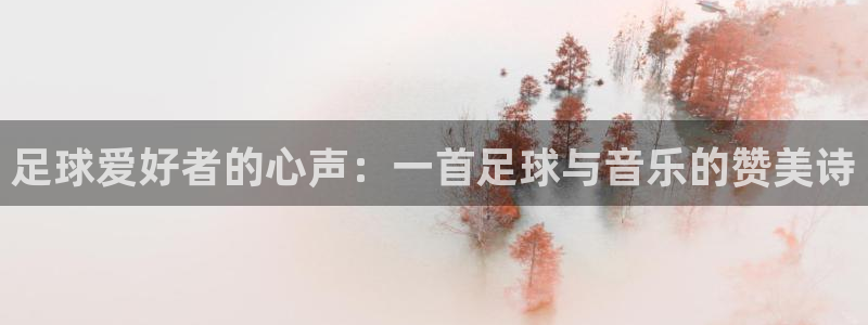 足球爱好者的心声：一首足球与音乐的赞