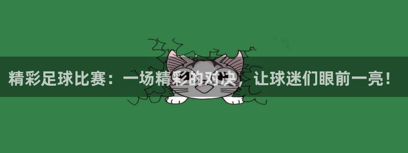 精彩足球比赛：一场精彩的对决，让球迷
