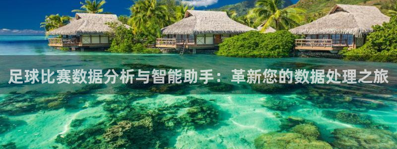 足球比赛数据分析与智能助手：革新您的