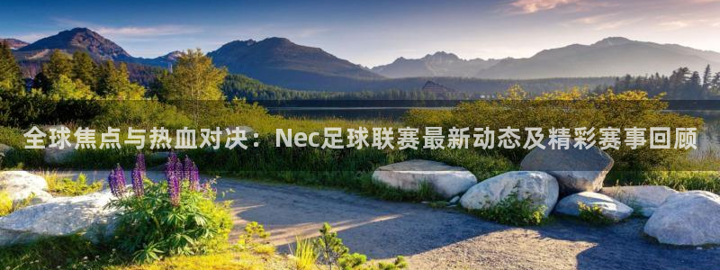 全球焦点与热血对决：Nec足球联赛最