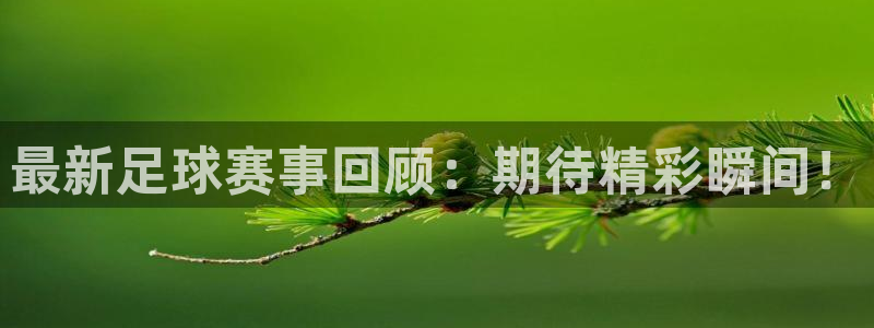 最新足球赛事回顾：期待精彩瞬间！
