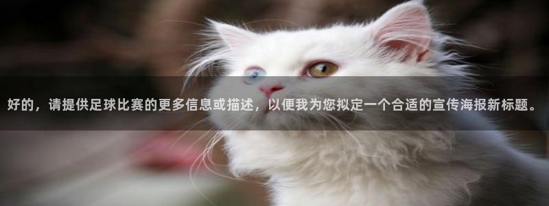 好的，请提供足球比赛的更多信息或描述