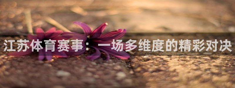 江苏体育赛事：一场多维度的精彩对决