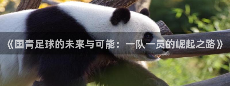  《国青足球的未来与可能：一队一员的崛起之路》