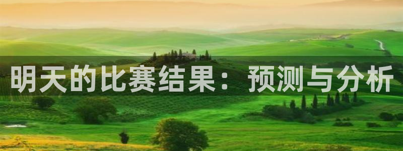 明天的比赛结果：预测与分析