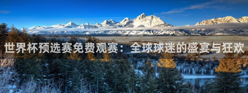 世界杯预选赛免费观赛：全球球迷的盛宴