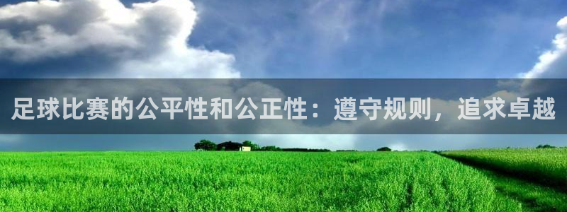 足球比赛的公平性和公正性：遵守规则，