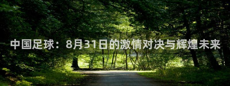  中国足球：8月31日的激情对决与辉煌未来